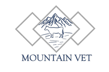 Mountain Vet